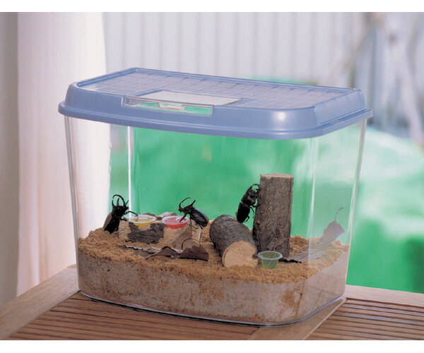 楽天市場】飼育ケース 虫かご 昆虫 アイリス 飼育ランド CY-M