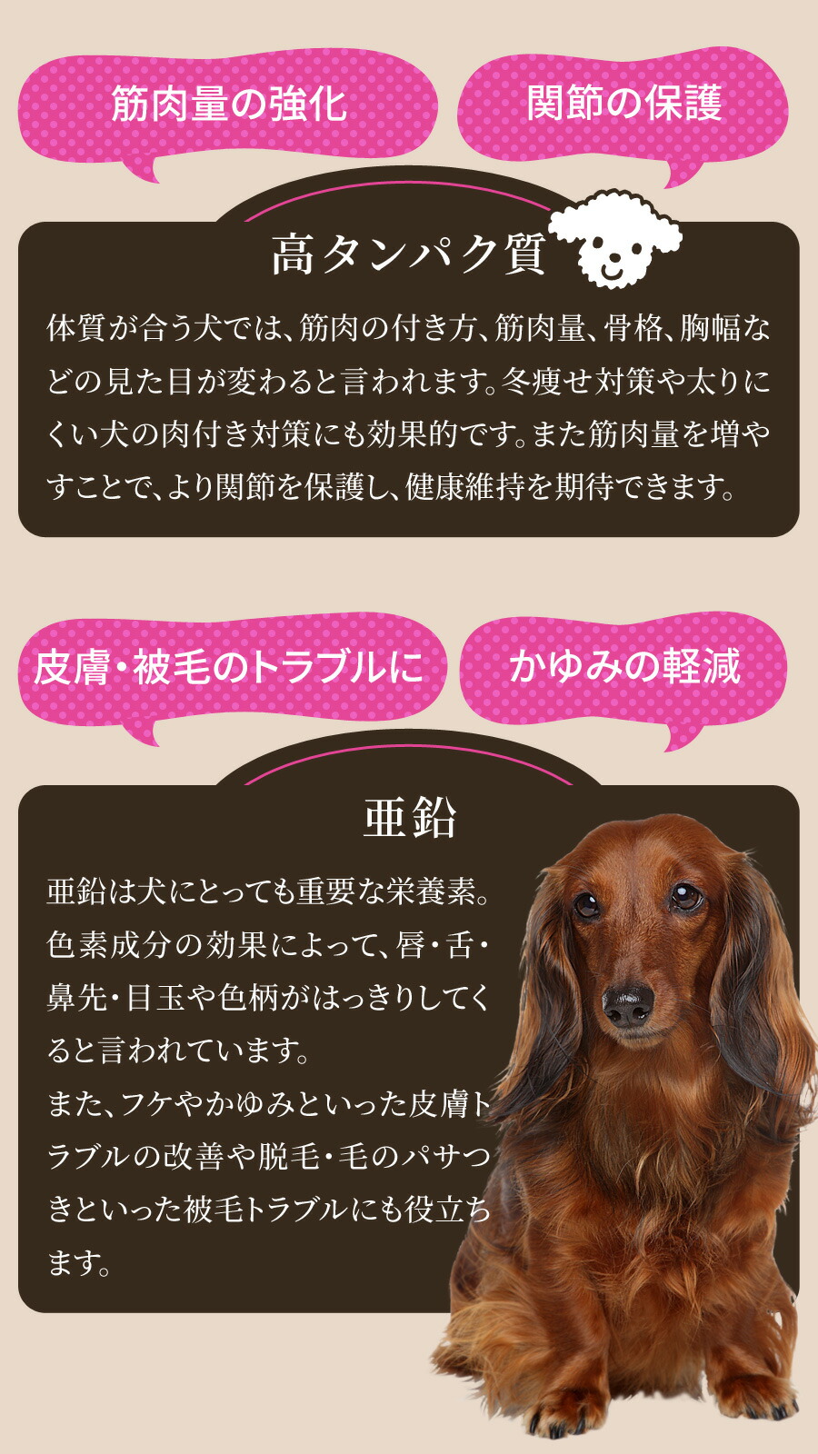 楽天市場】ブラックウッド 5000 20kg（分包4袋入）＋選べるおまけ付き