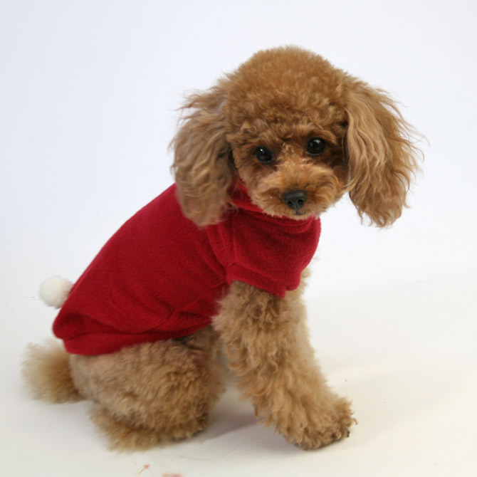 楽天市場】犬 服 犬服 犬の服 Dog Peace(ドッグピース) 国内生産 日本