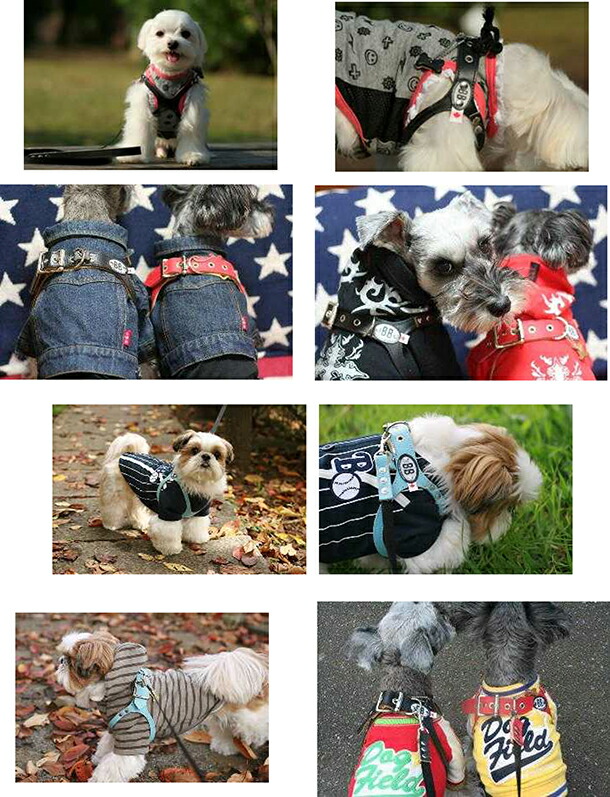 楽天市場】バディベルト ハーネス 4号 胴輪 ホットピンク HOT PINK