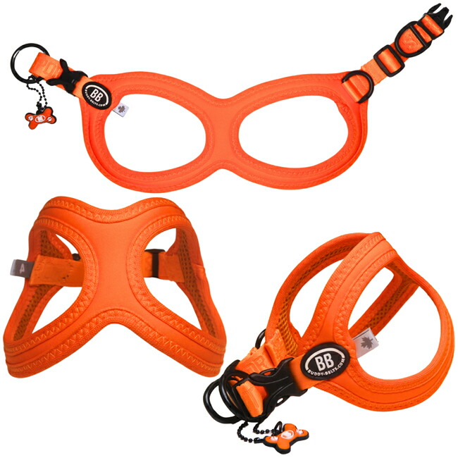 楽天市場】バディーベルト BBスポーツハーネス 2.5号 小型犬 ペット