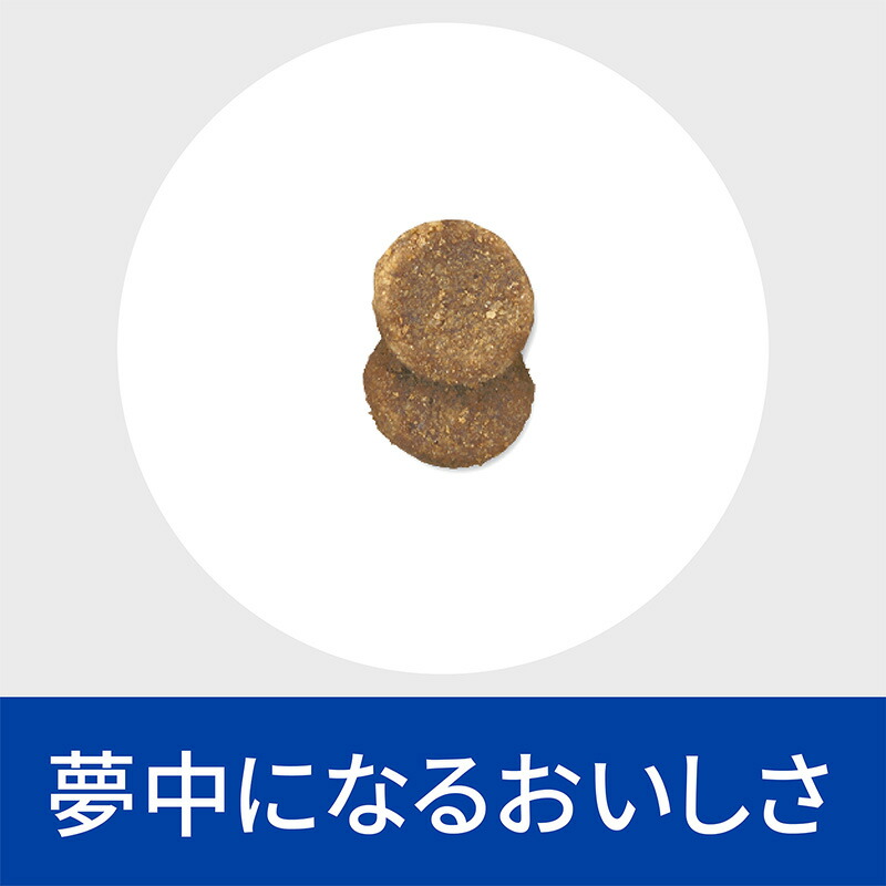 楽天市場】［2袋セット］ヒルズ 猫用 腸内バイオーム コンフォート