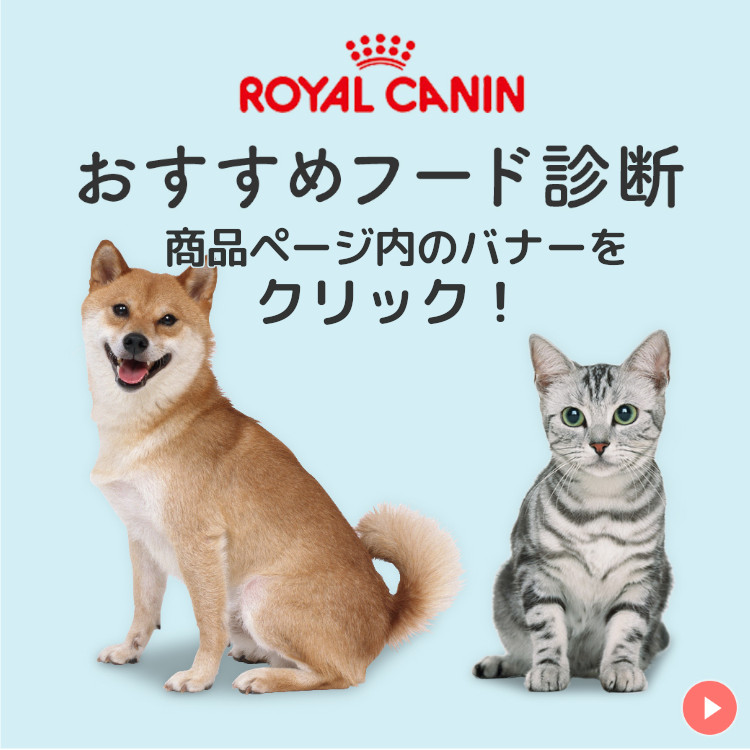 楽天市場】【セットはさらにお得！】ロイヤルカナン キトン プレミアム