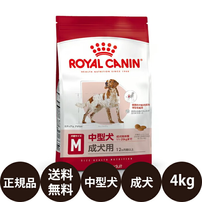 楽天市場】ロイヤルカナン ミディアム アダルト（ドッグフード