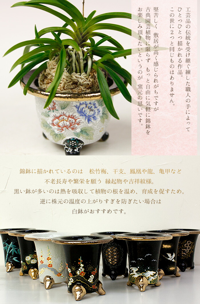 楽天市場】＼楽天ランキング1位／ ◇京楽焼窯元「愛楽園」直送