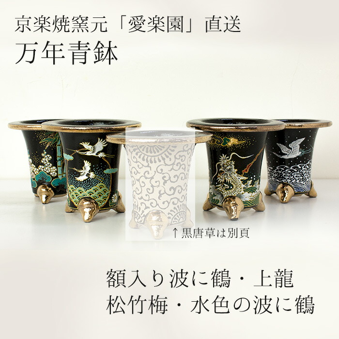 楽天市場】◇京楽焼窯元「愛楽園」直送◇『万年青鉢（おもと鉢） 額