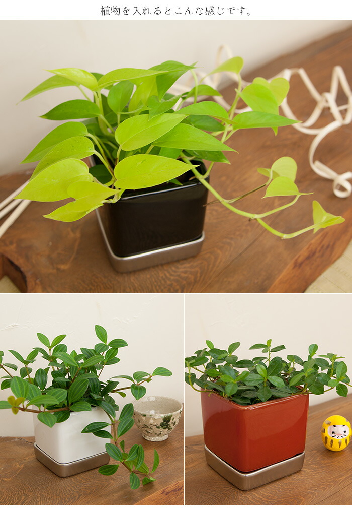 楽天市場】ミニ陶器鉢＆受け皿セット 『KAKU』シリーズ Sサイズ