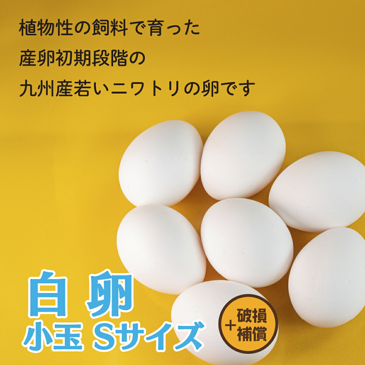 楽天市場】けいちゃんたまご 白卵 S 100個（約5kg）／200個（約10kg
