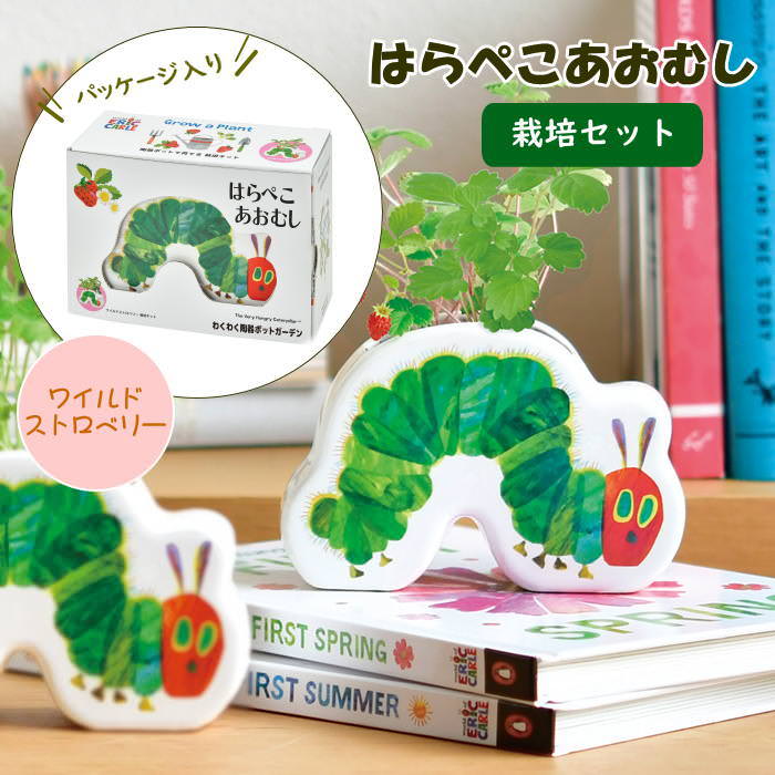 楽天市場】【あす楽】 栽培セット はらぺこあおむし わくわく陶器