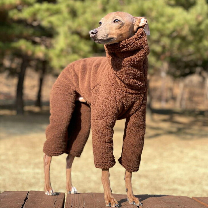 楽天市場】＼セール／イタグレ 服 IG ボアロンパース S M L XL 2XL