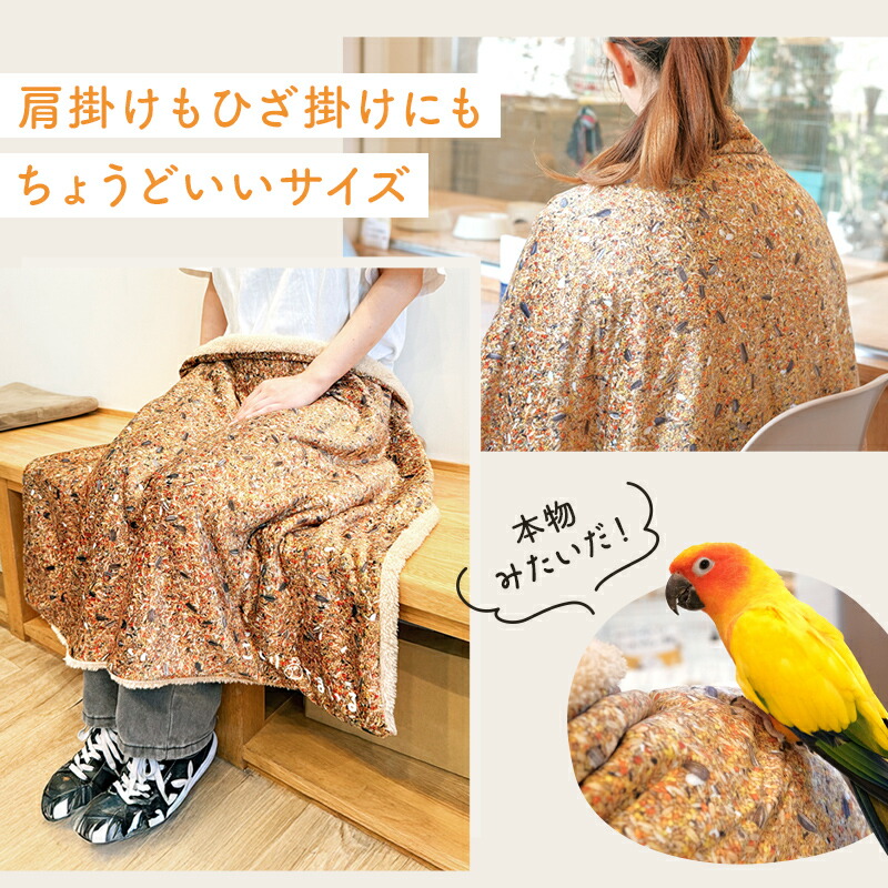 楽天市場】【緊急追加販売！】＼数量限定／ことり福袋2026☆ぜーんぶ