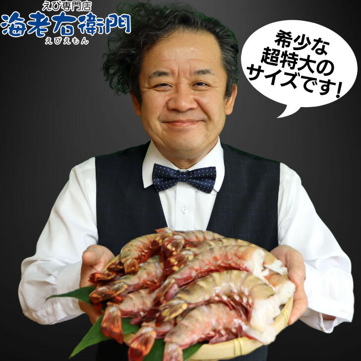 楽天市場】超超超特大サイズ 約16尾～24尾入り 4/6サイズ天然シー