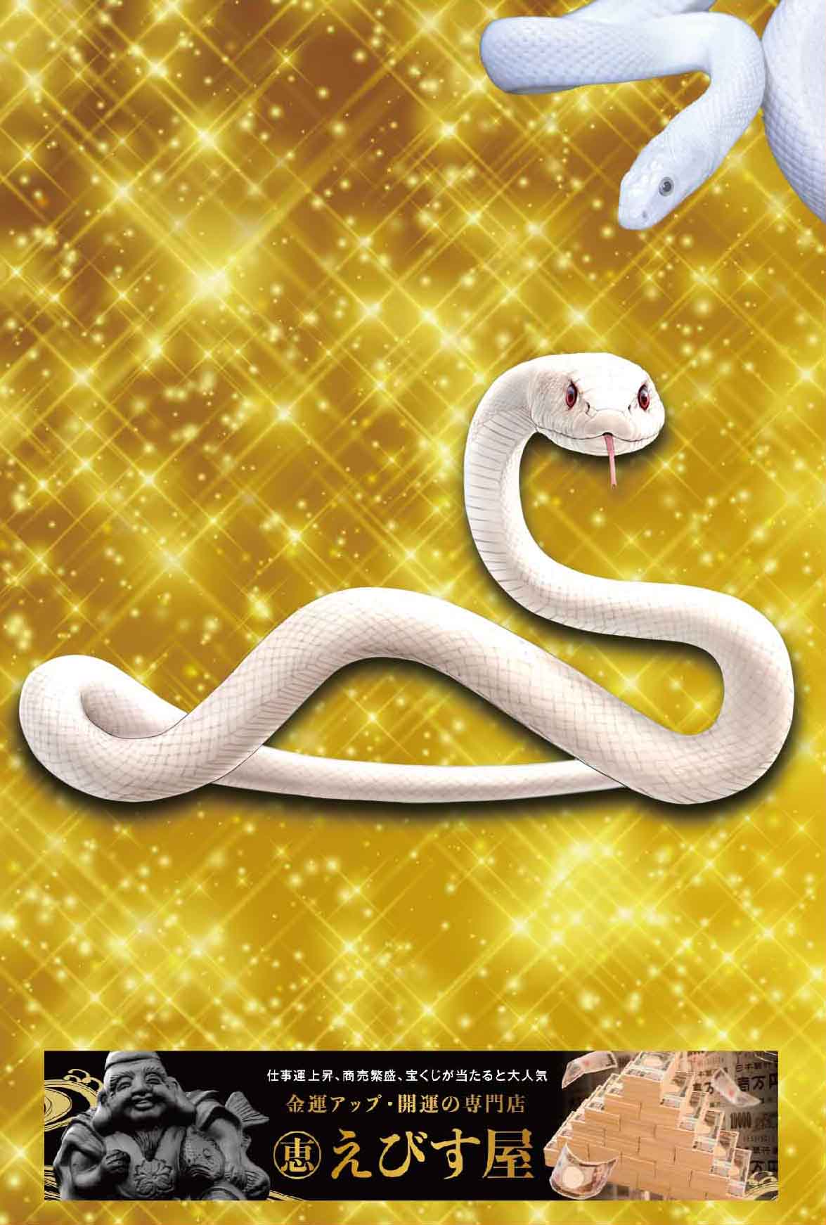 巳年 巳の日【額装】 開運♪金運アップ♪ 大蛇の抜け殻アート【