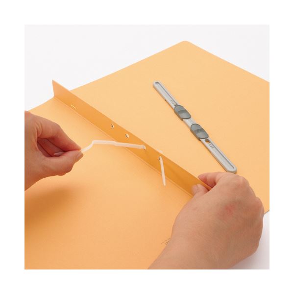 直送・代引不可 (まとめ) ライオン事務器 フラットファイル(環境) 樹脂