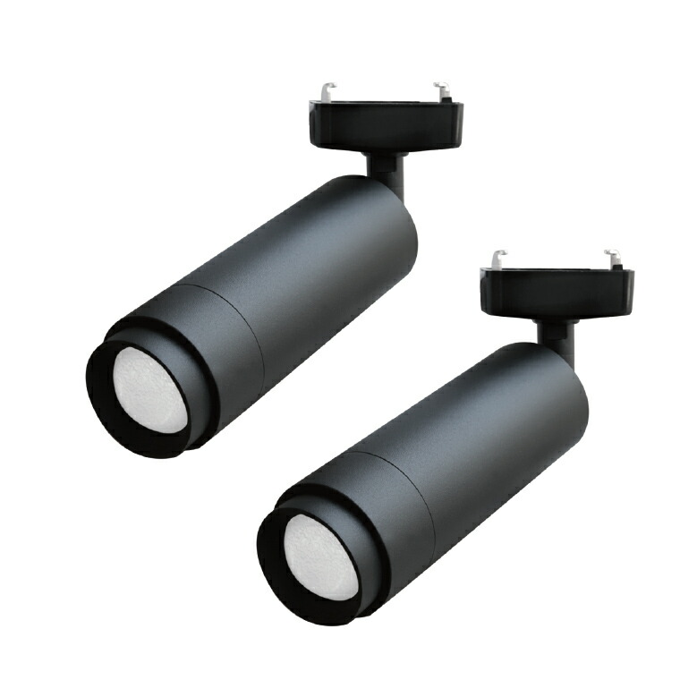 楽天市場】2個セット ダクトレール ライト エジソンスマート ミニ