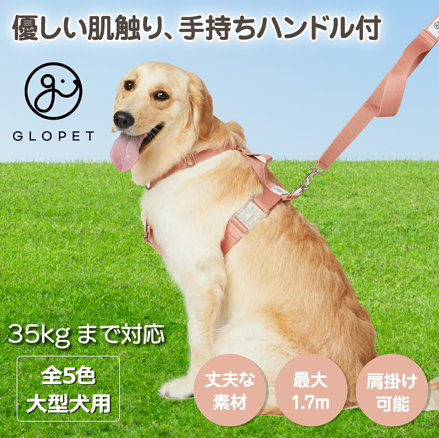 楽天市場】犬 大型犬用 超大型犬 35kgまで対応 マルチ リード 1.7m