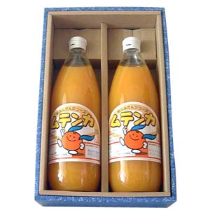 楽天市場】【ふるさと創生館】安心無添加！愛媛県明浜町の100％みかん