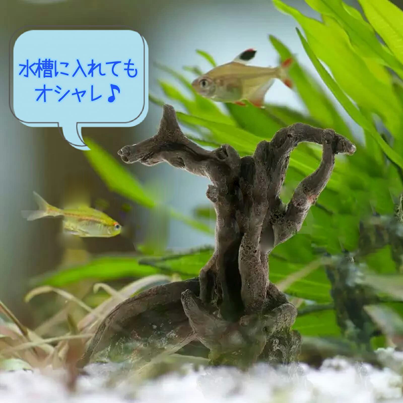 水槽用流木 自然な形状 熱帯魚 約18cm