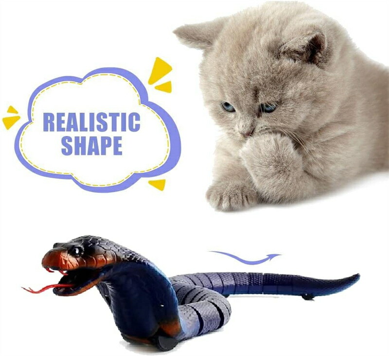 猫*猫様 Traxxas ホビーラジコン 猫*猫様 Traxxas ホビーラジコン