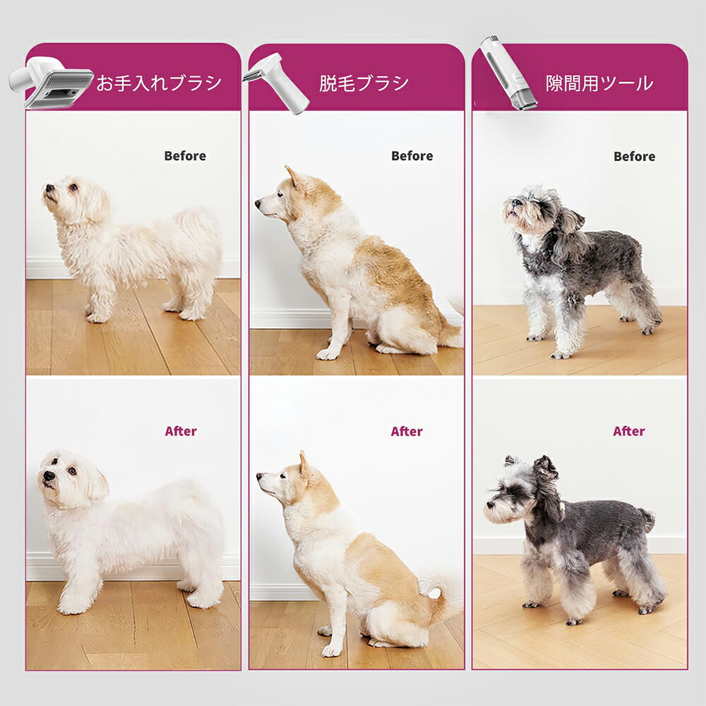 楽天市場】lvittyPet ペット用バリカンセット 犬用バリカン 犬 掃除機