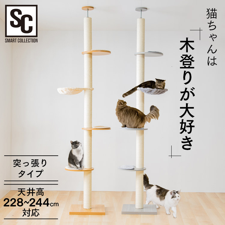楽天市場】木登りキャットタワー KCCT‐244 キャットタワー 猫タワー