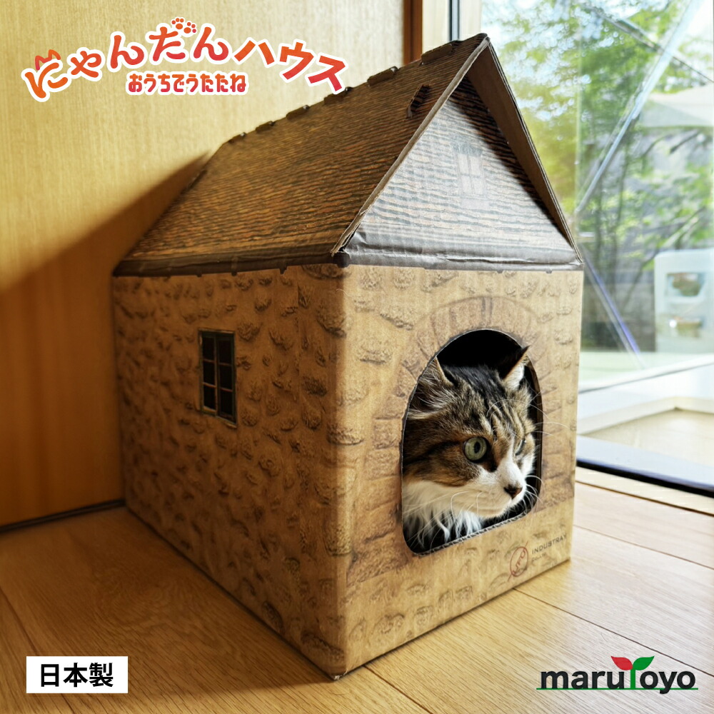 楽天市場】にゃんだんハウス ダンボールハウス 日本製 猫 猫用ハウス