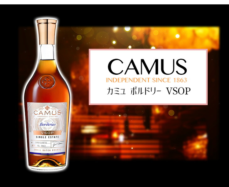 ①レミーマルタンVSOP1738 / カミュVSOP ボルドリー 2本セット