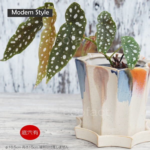 楽天市場】フラワーポット 植木鉢 おしゃれ 陶器鉢 オクタゴンL φ16