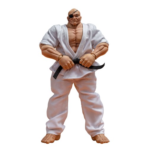 楽天市場】ストームコレクティブルズ 『範馬刃牙』 アクション