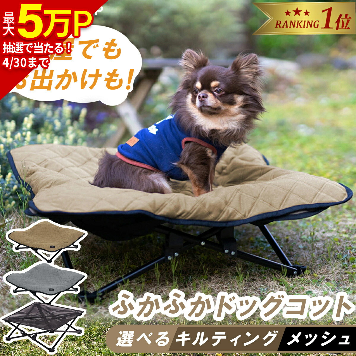 楽天市場】☆10%OFFクーポン 2/8〜2/10☆【楽天1位】 犬用ベッド