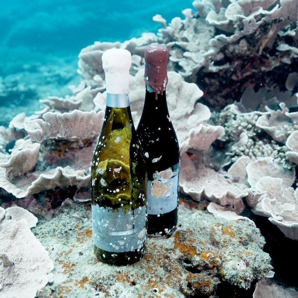 楽天市場】【ふるさと納税】tlass SEA CELLAR -2024 1st Edition- 海底