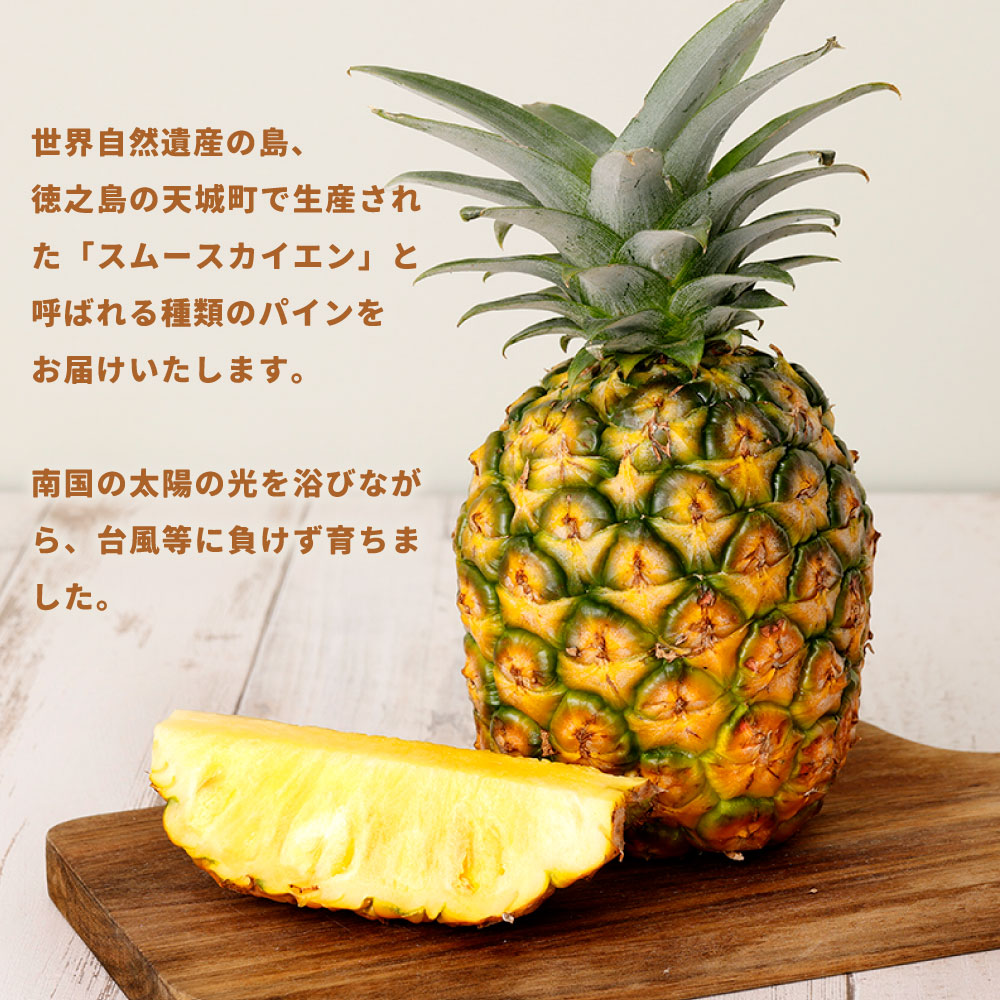 楽天市場】【ふるさと納税】【先行受付】徳之島 天城町産 パイナップル