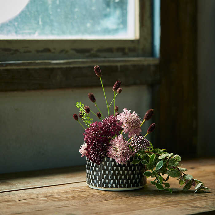 楽天市場】【ふるさと納税】【波佐見焼】波佐見陶箱クッキー 鹿の子柄