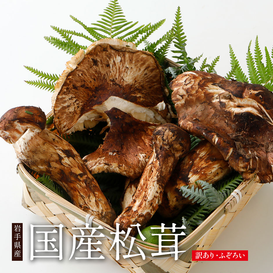 国産 松茸 訳あり」の人気商品一覧 | 安い商品を通販サイトから探す