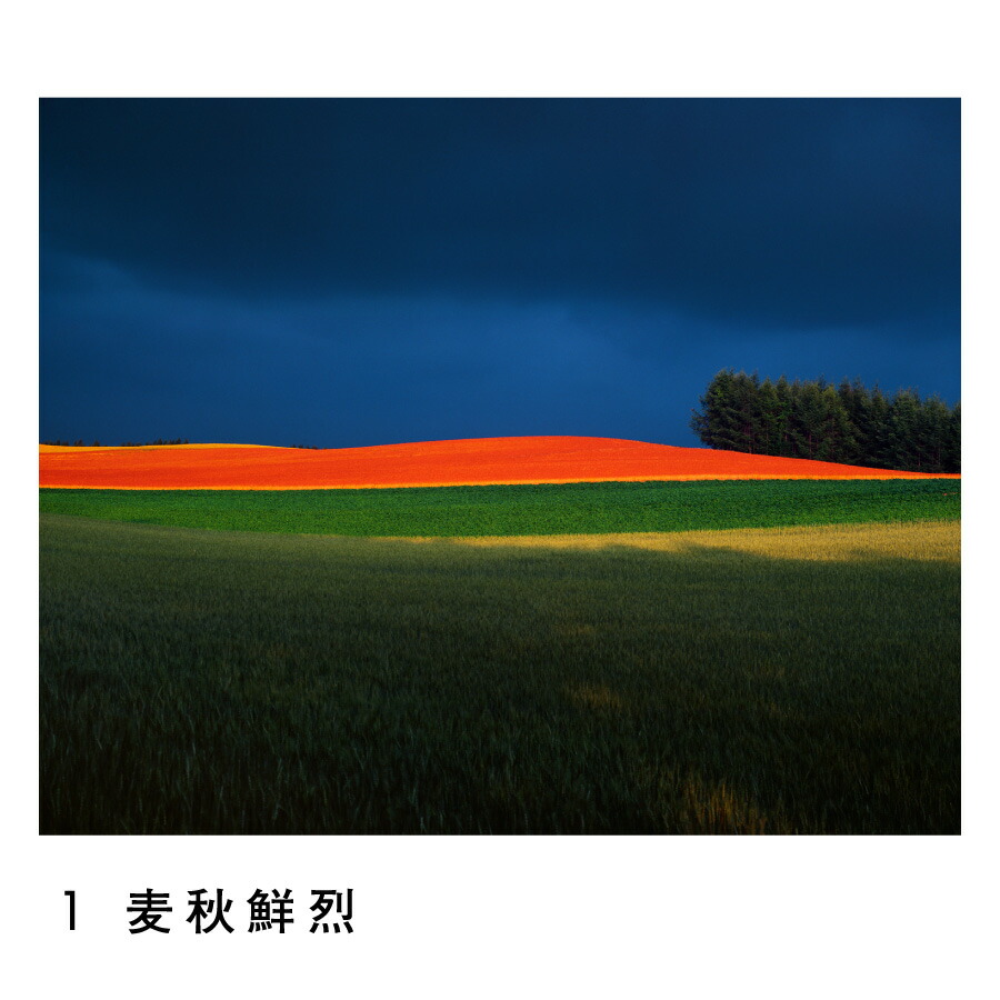 楽天市場】【ふるさと納税】前田真三 額付き写真（黒額） 六切サイズ