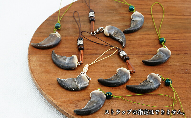 楽天市場】【ふるさと納税】北海道枝幸産 ヒグマの爪ストラップ 4cm