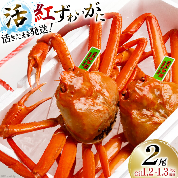 能登七尾 城山焼 國下三郎作 蟹 箱付 Z 8537 能登七尾 城山焼 國下三郎