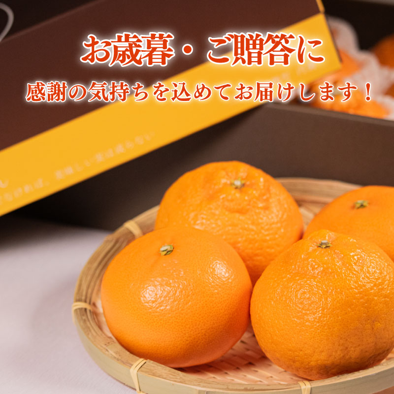 楽天市場】【ふるさと納税】 先行予約 柑橘 定期便 2回 温州みかん せ