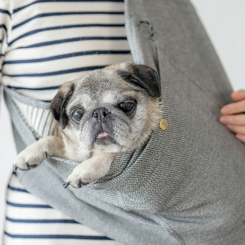 楽天市場】【ふるさと納税】【播州織】シンプルドッグスリング