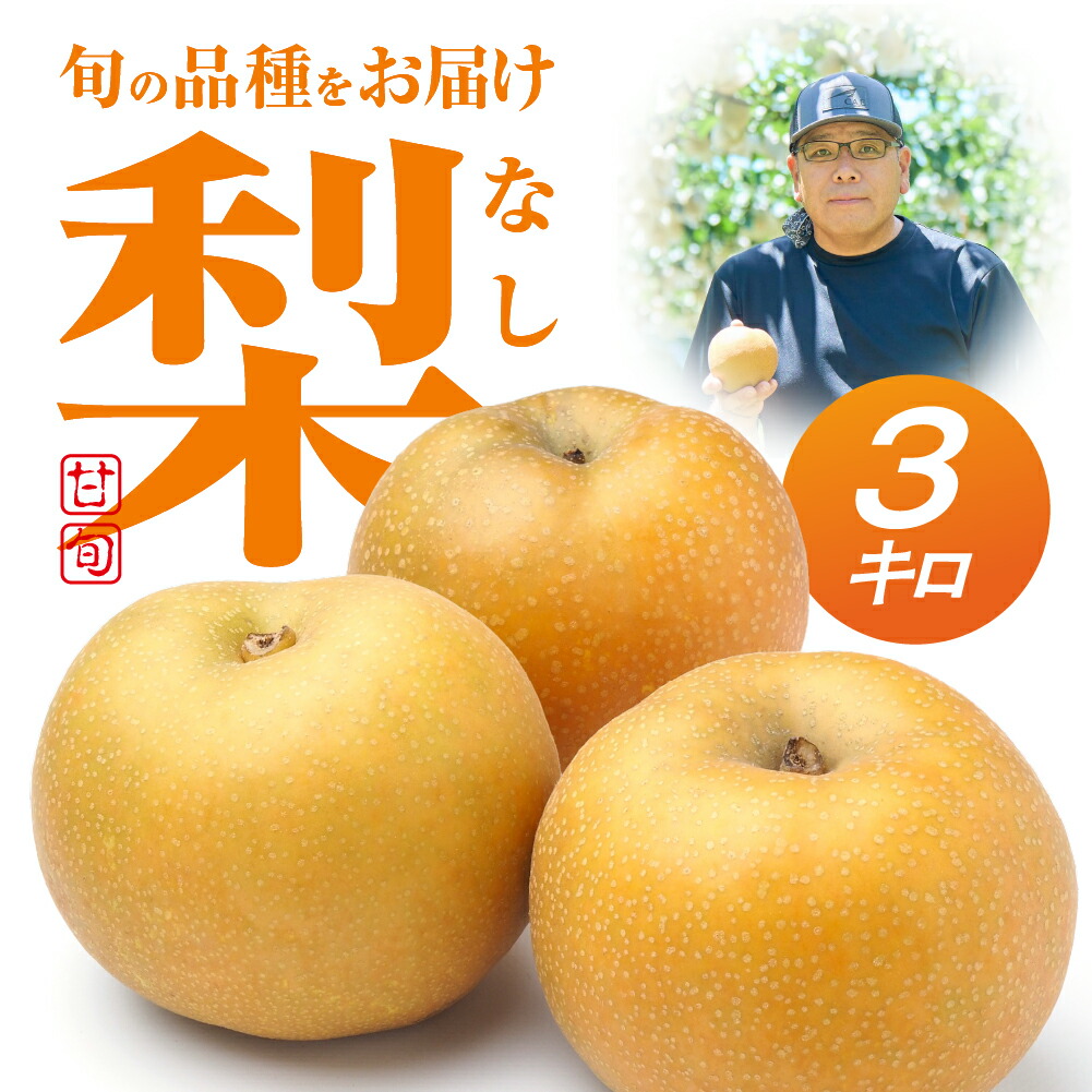 楽天市場】【ふるさと納税】2026年 先行予約 朝倉さんの『小島梨』 3kg