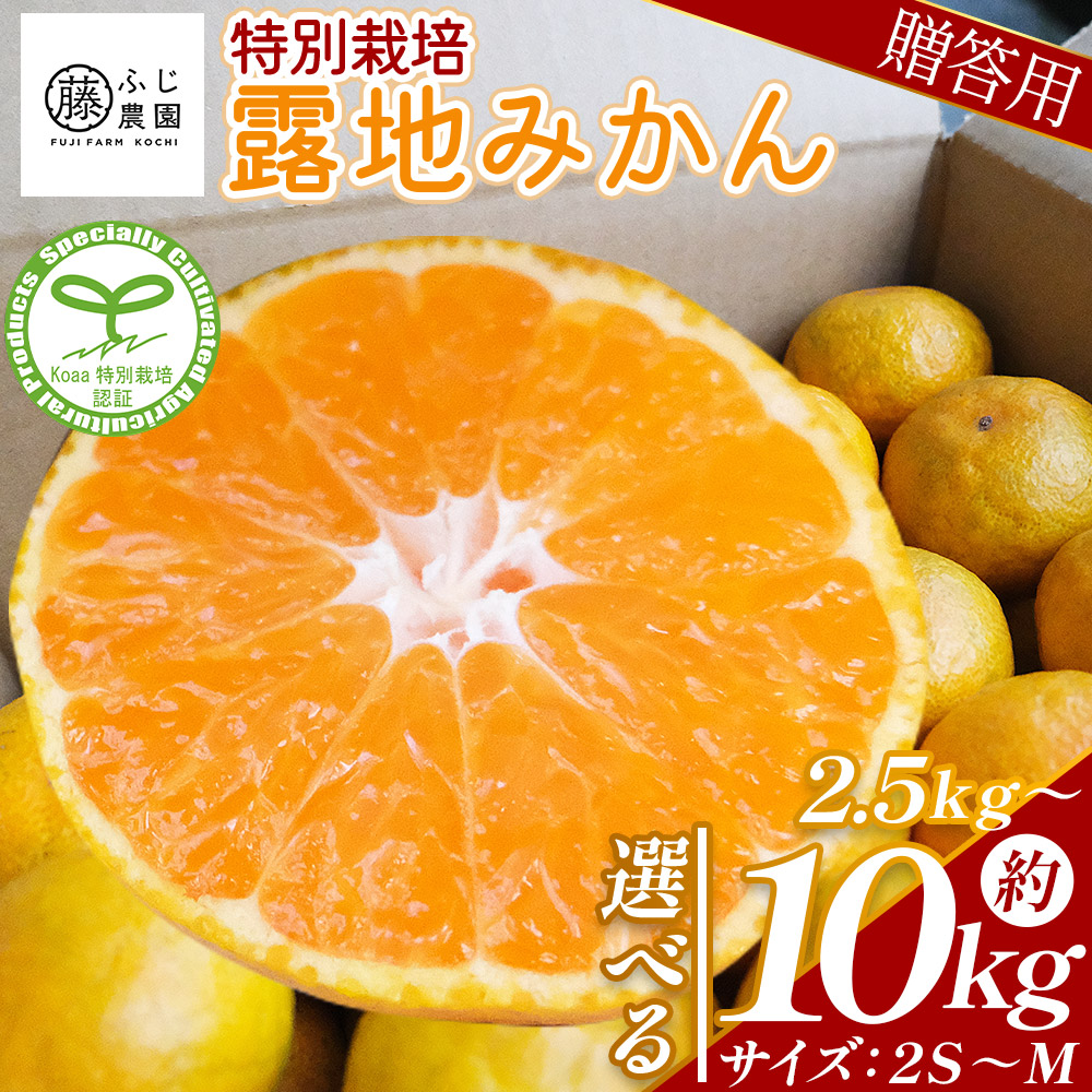 楽天市場】【ふるさと納税】【2026年10月以降順次配送分】【選べる内容