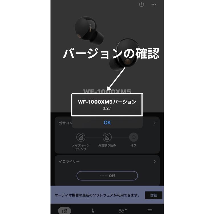 楽天市場】【良い】右耳のみ ソニー WF-1000XM5 ブラック バージョン