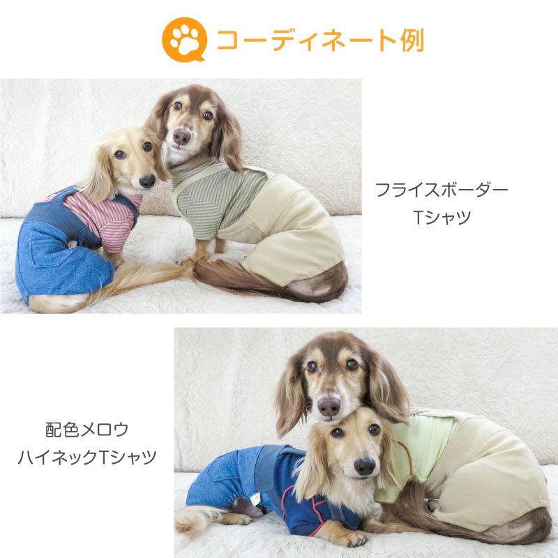 楽天市場】犬 服 冬 秋 デニム ニット サロペット パンツ おそろコーデ