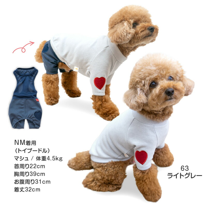 恋いちごワンピースのセットイントレーナー犬服 （胴回り33〜49センチ