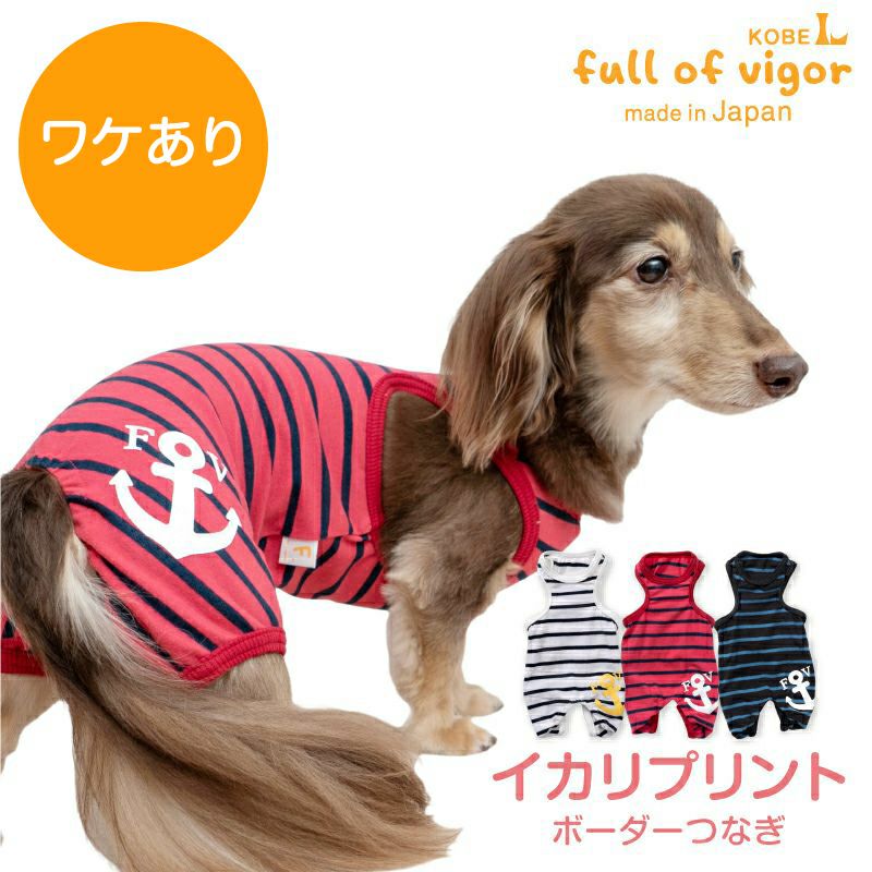楽天市場】犬 服 冬 秋 ワケあり 伸びて 着せやすい イカリ プリント