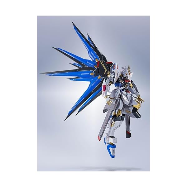 L ROBOT魂 ストライクフリーダム二式 L ROBOT魂 ＜SIDE MS