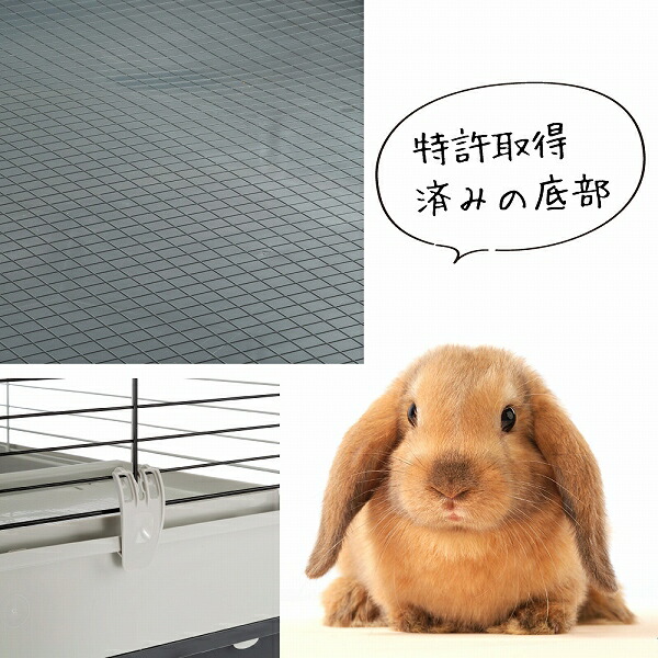 楽天市場】モルモット うさぎ用ケージ クロリック L Krolik Large