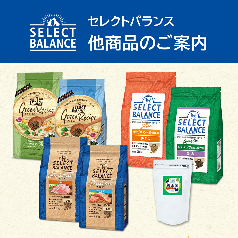 楽天市場】【2時間限定！早い者勝ち10%OFFクーポン配布中！】 セレクト