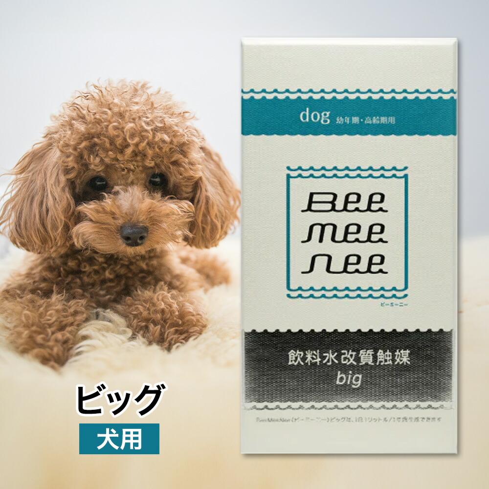 セラスト ビーミーニー ビッグ bee mee nee Big 低 価格