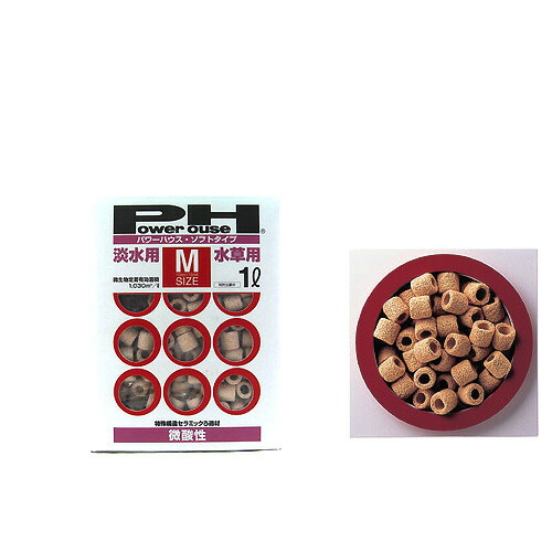 パワーハウスソフトタイプ M」の人気商品一覧 | 安い商品を通販サイト